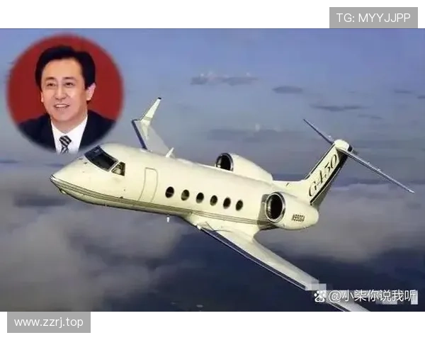 从辉煌到破产：一个企业家的失落与重生之路